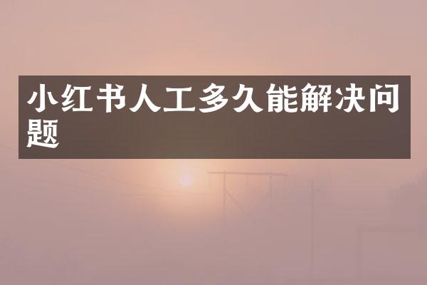 小红书人工多久能解决问题