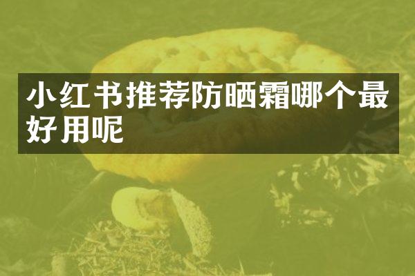 小红书推荐防晒霜哪个最好用呢