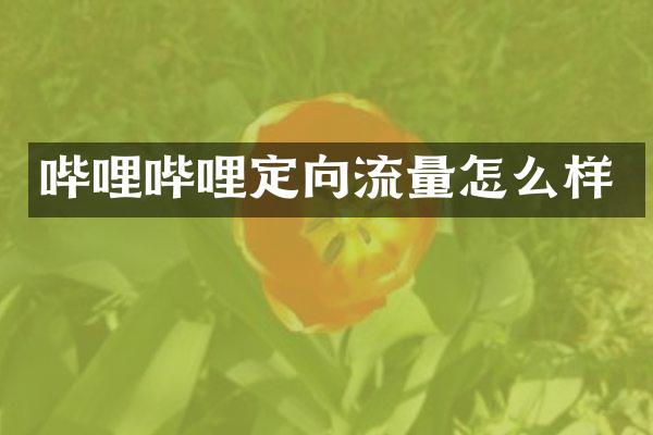 哔哩哔哩定向流量怎么样