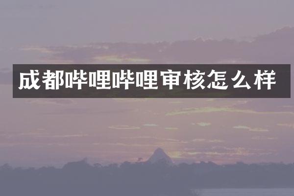 成都哔哩哔哩审核怎么样
