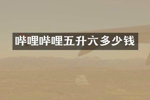 哔哩哔哩五升六多少钱