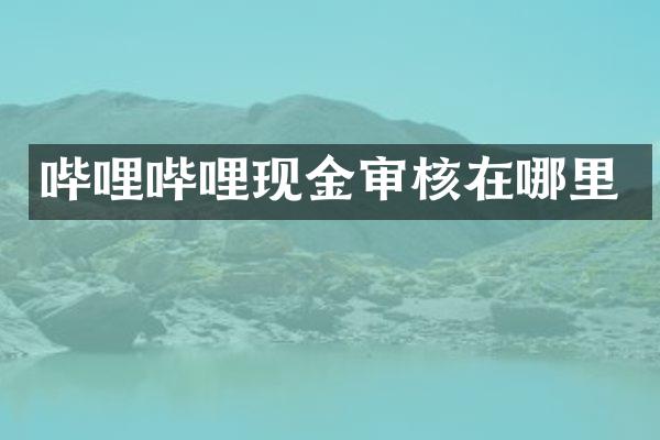 哔哩哔哩现金审核在哪里