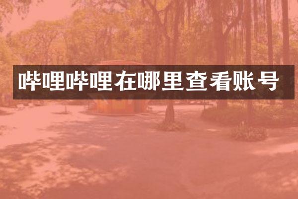 哔哩哔哩在哪里查看账号