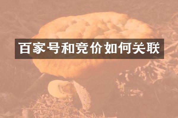 百家号和竞价如何关联