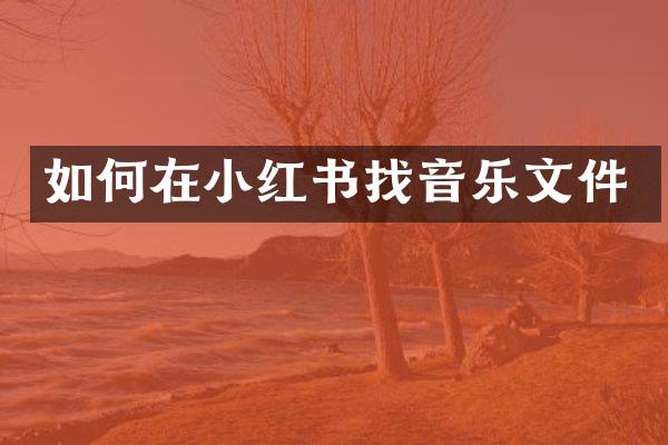 如何在小红书找音乐文件