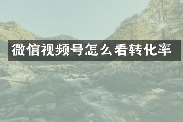 微信视频号怎么看转化率