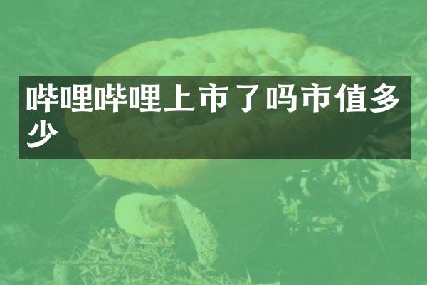 哔哩哔哩上市了吗市值多少