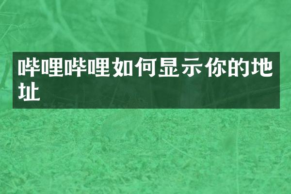 哔哩哔哩如何显示你的地址