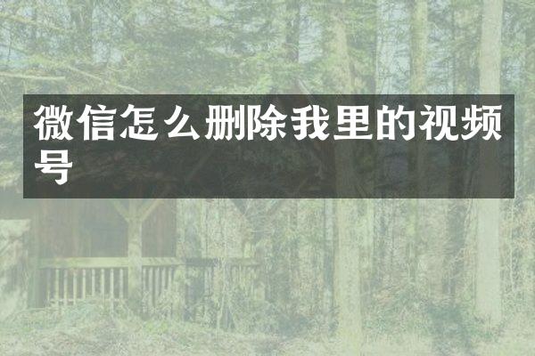 微信怎么删除我里的视频号