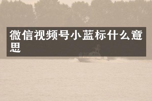 微信视频号小蓝标什么意思
