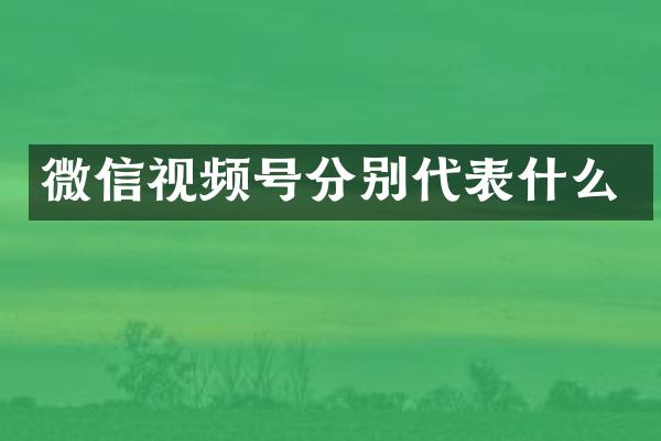 微信视频号分别代表什么