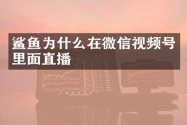 鲨鱼为什么在微信视频号里面直播