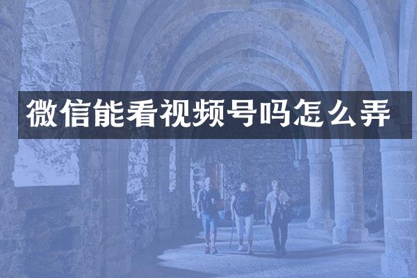 微信能看视频号吗怎么弄