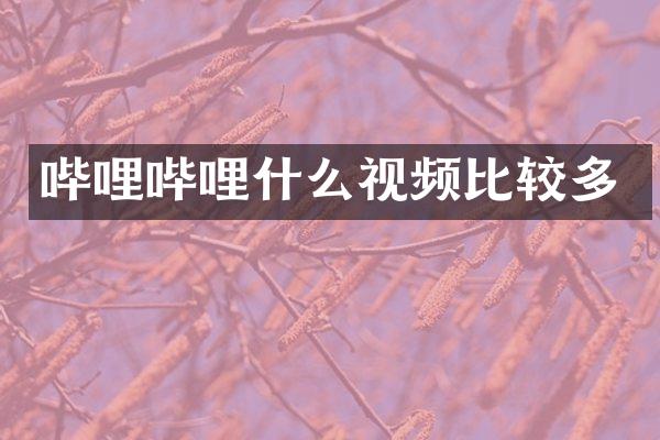 哔哩哔哩什么视频比较多
