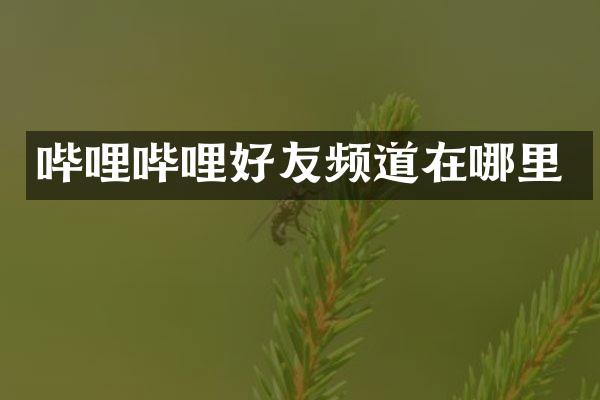 哔哩哔哩好友频道在哪里