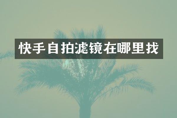 快手自拍滤镜在哪里找