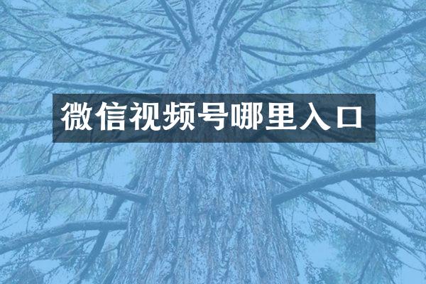 微信视频号哪里入口