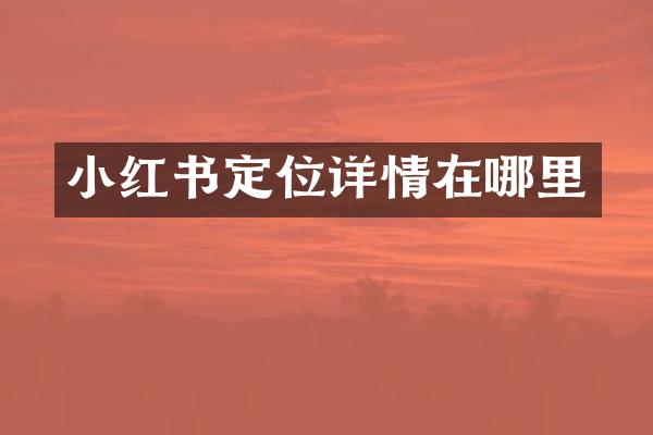 小红书定位详情在哪里