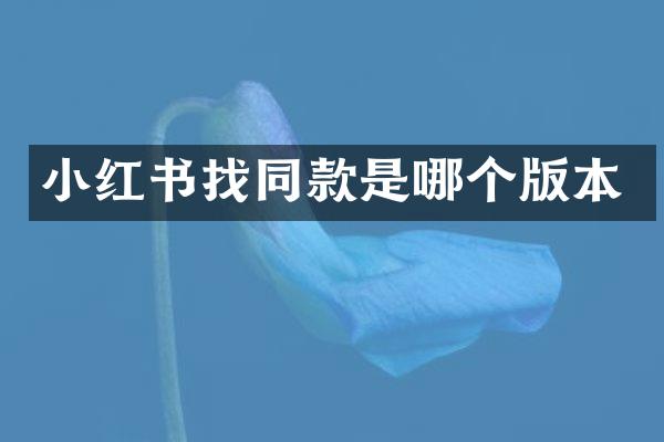 小红书找同款是哪个版本
