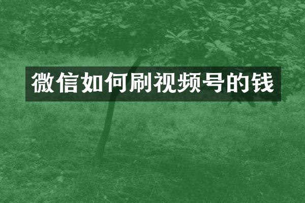微信如何刷视频号的钱