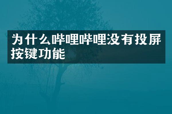 为什么哔哩哔哩没有投屏按键功能