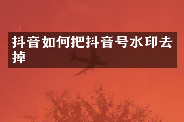 抖音如何把抖音号水印去掉
