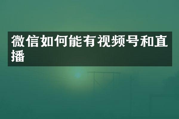 微信如何能有视频号和直播