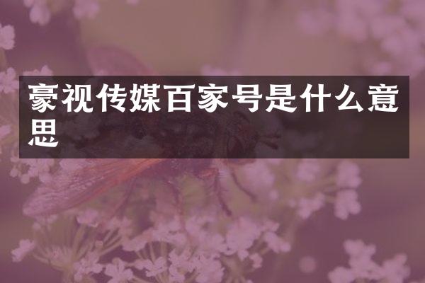 豪视传媒百家号是什么意思