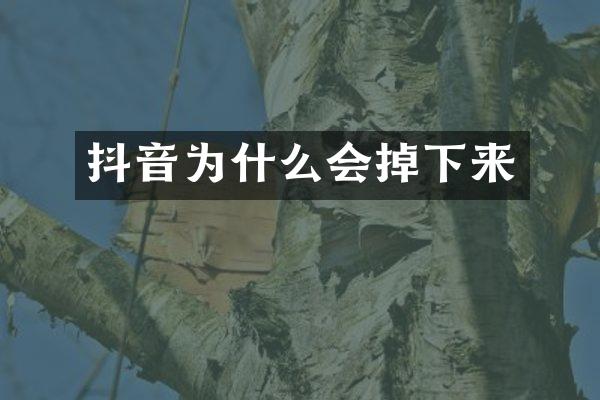 抖音为什么会掉下来
