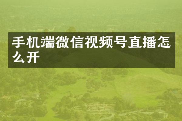 手机端微信视频号直播怎么开