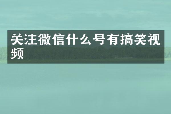 关注微信什么号有搞笑视频