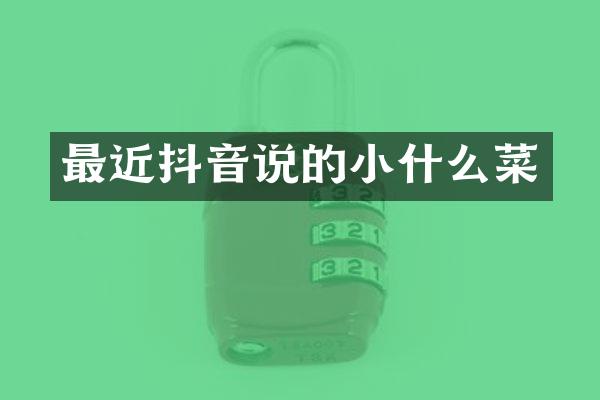 最近抖音说的小什么菜