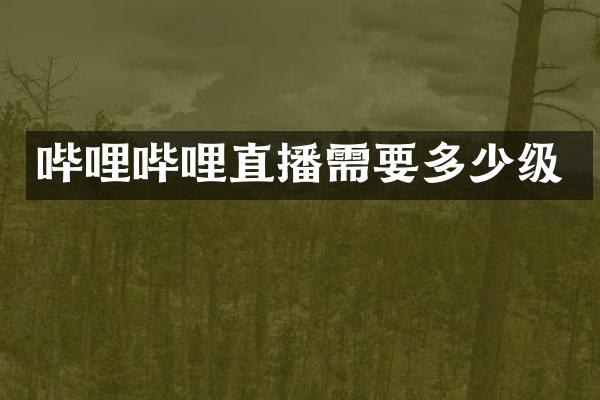 哔哩哔哩直播需要多少级
