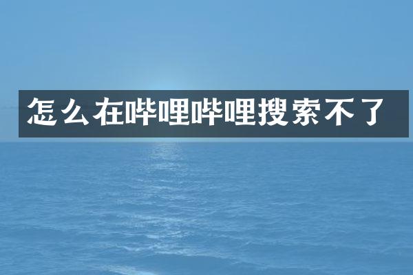 怎么在哔哩哔哩搜索不了