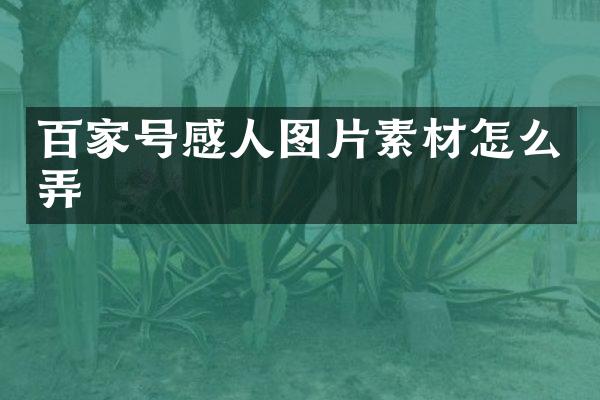 百家号感人图片素材怎么弄
