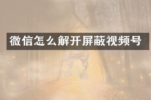 微信怎么解开屏蔽视频号
