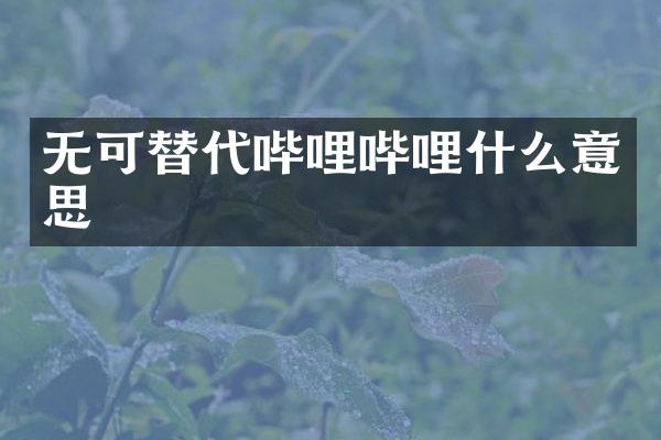 无可替代哔哩哔哩什么意思