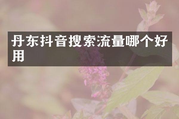 丹东抖音搜索流量哪个好用
