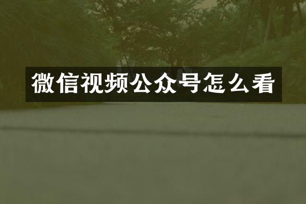 微信视频公众号怎么看