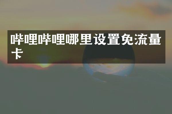 哔哩哔哩哪里设置免流量卡