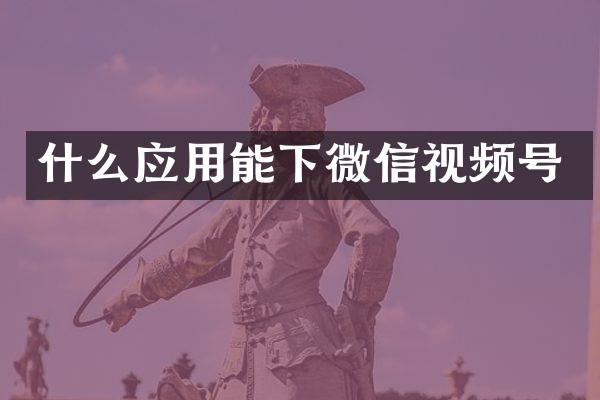 什么应用能下微信视频号