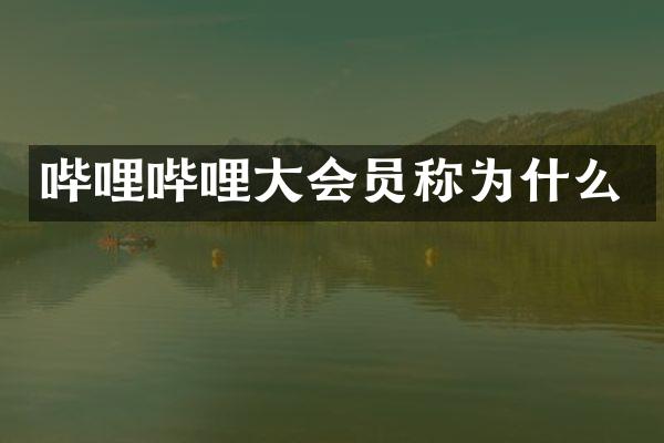 哔哩哔哩大会员称为什么