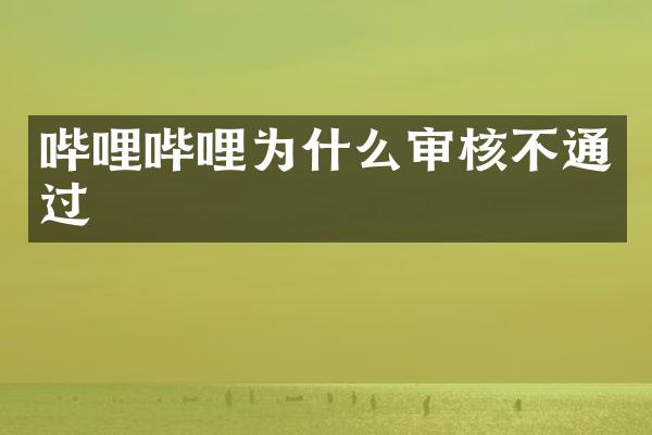 哔哩哔哩为什么审核不通过