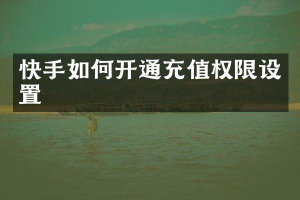 快手如何开通充值权限设置