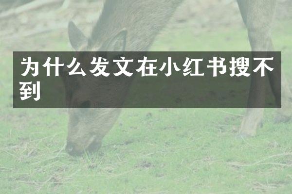 为什么发文在小红书搜不到