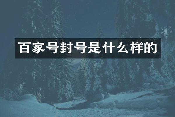 百家号封号是什么样的