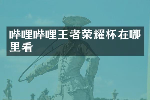 哔哩哔哩王者荣耀杯在哪里看