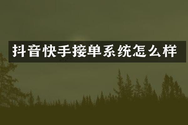 抖音快手接单系统怎么样