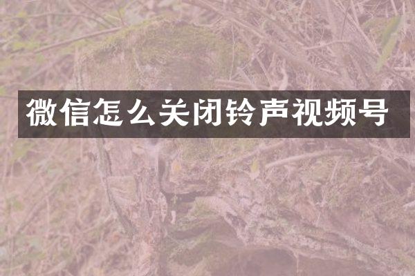 微信怎么关闭铃声视频号