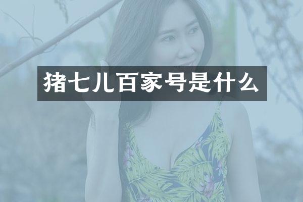 猪七儿百家号是什么